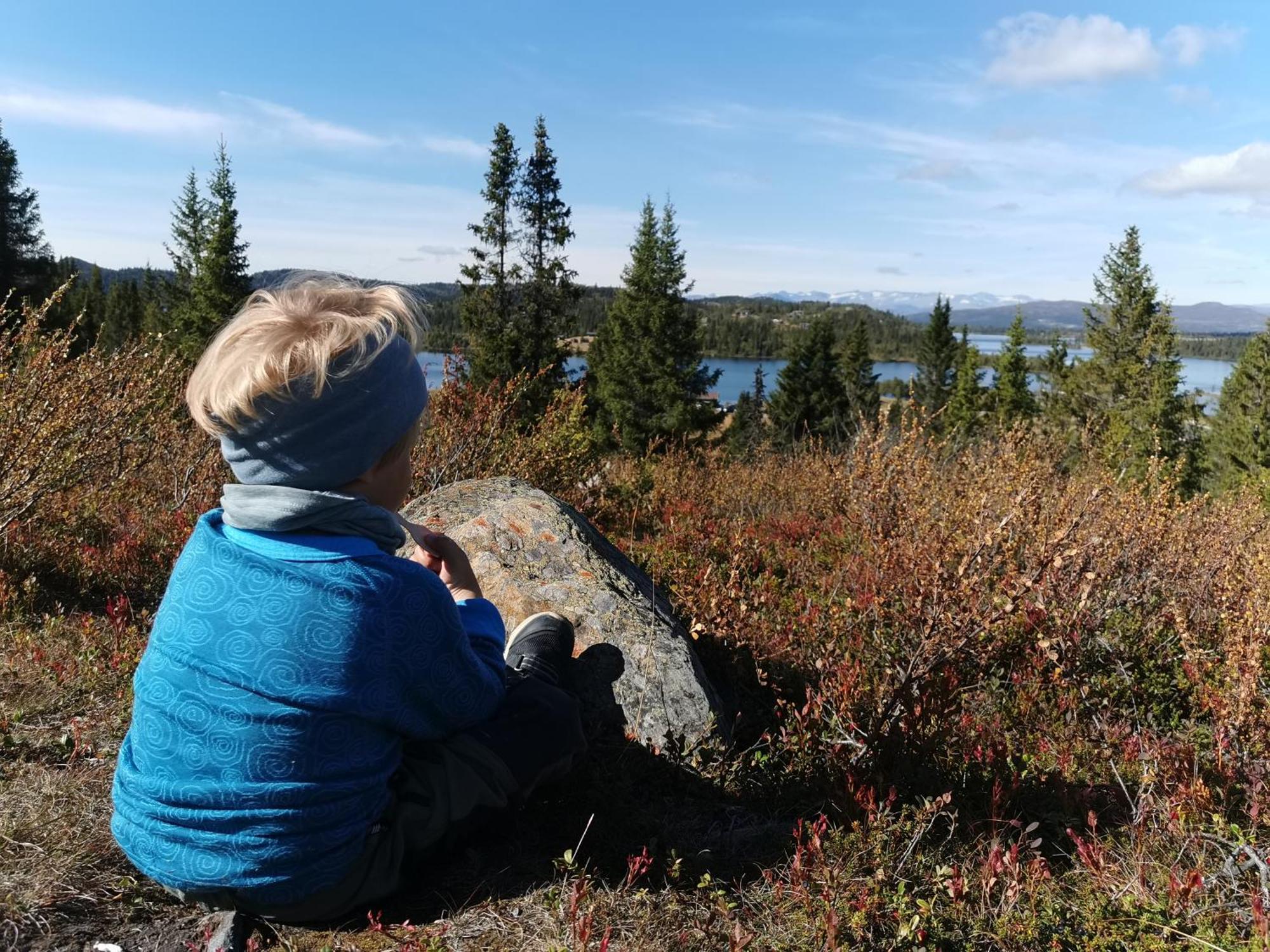 ホテル Gronolen Fjellgard Beitostolen エクステリア 写真
